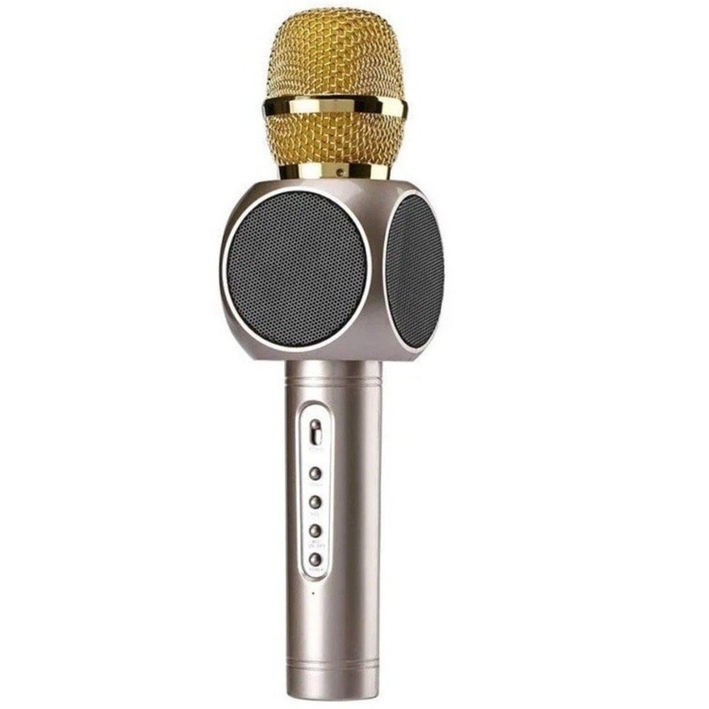 Karaoke Microphone by Innoo Tech Wireless, Speaker